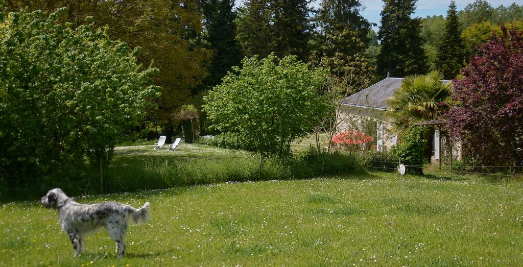 Bed and Breakfast La Barillerie La Flèche Esterno foto
